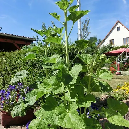 Warnstedt *
