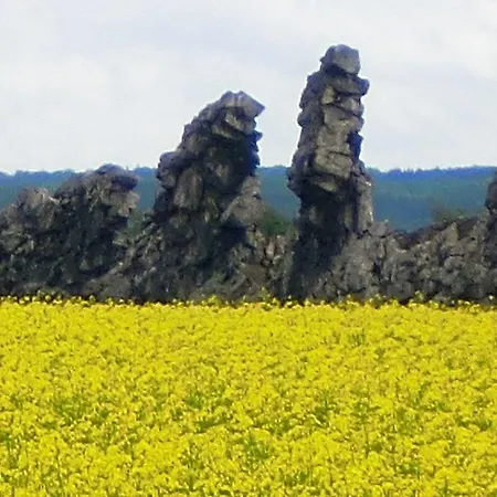 Warnstedt * Thale